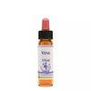 Healing Herbs Vine