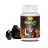 Swadeshi Ayurved Shilajit Vati - 60 Tabs