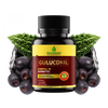 Dharishah Ayurveda Guluconil - 60 tabs