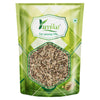 Yuvika Apamarg Seeds - Apoot Kanta - Uttareni Seeds - Latrija Beej - Chirchita ka Beej
