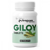 Dr Satnam's Arogyam Ayurveda Giloy Tablets - 60 tabs