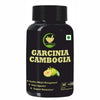 Fij Ayurveda Garcinia Cambogia Capsules - 60 Capsules