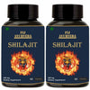 Fij Ayurveda Shilajit/shilajeet Capsule Pack of 2 - 60 Caps
