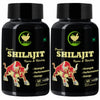 Fij Ayurveda Power Shilajit/shilajeet Capsule Pack of 2 - 60 Caps