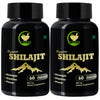 Fij Ayurveda Premium Shilajit/shilajeet Extract Capsule Pack of 2 - 60 Caps