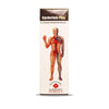 Alakananda Herbals Cardorium Plus Syrup - 300 ml