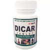 Ayursun Pharma Dicar - 60 tabs