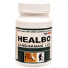 Ayursun Pharma Healbo Sandhanak Lep - 100 gms