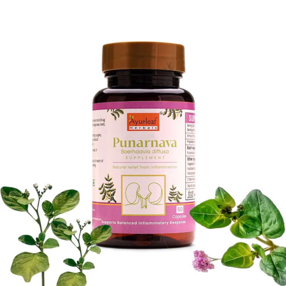 Ayurleaf Herbals Punarnava Capsules Heart and Urinary Health - 60 Caps
