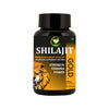 Fij Ayurveda Shilajit/shilajeet Gold Capsule - 60 Capsules