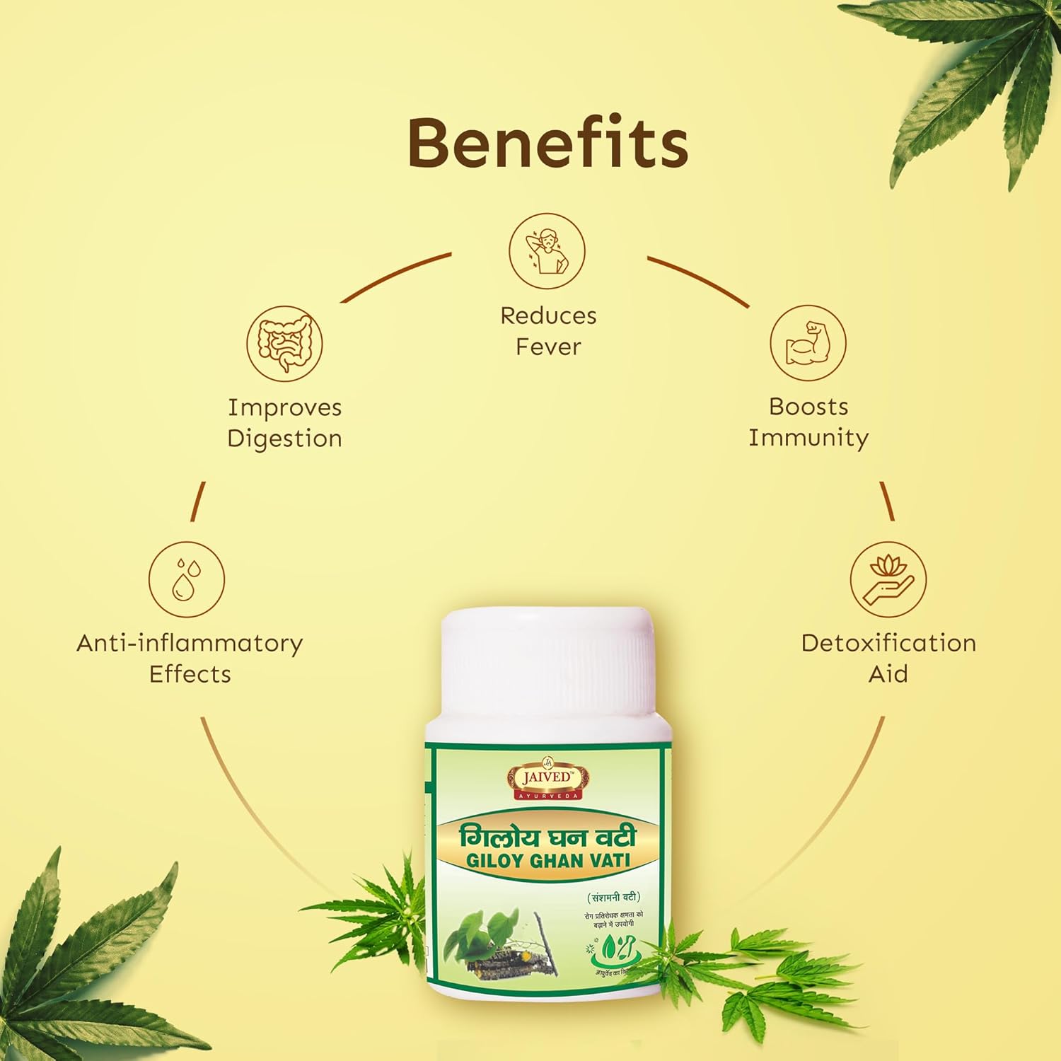 Jaived Ayurveda Giloy Ghan Vati | Boost Immunity, Detoxify, and Improve Digestion | 40 Tablets | Pack of 3