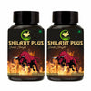 Fij Ayurveda Shilajit/shilajeet Plus Extract Capsule Pack of 2 - 60 Caps