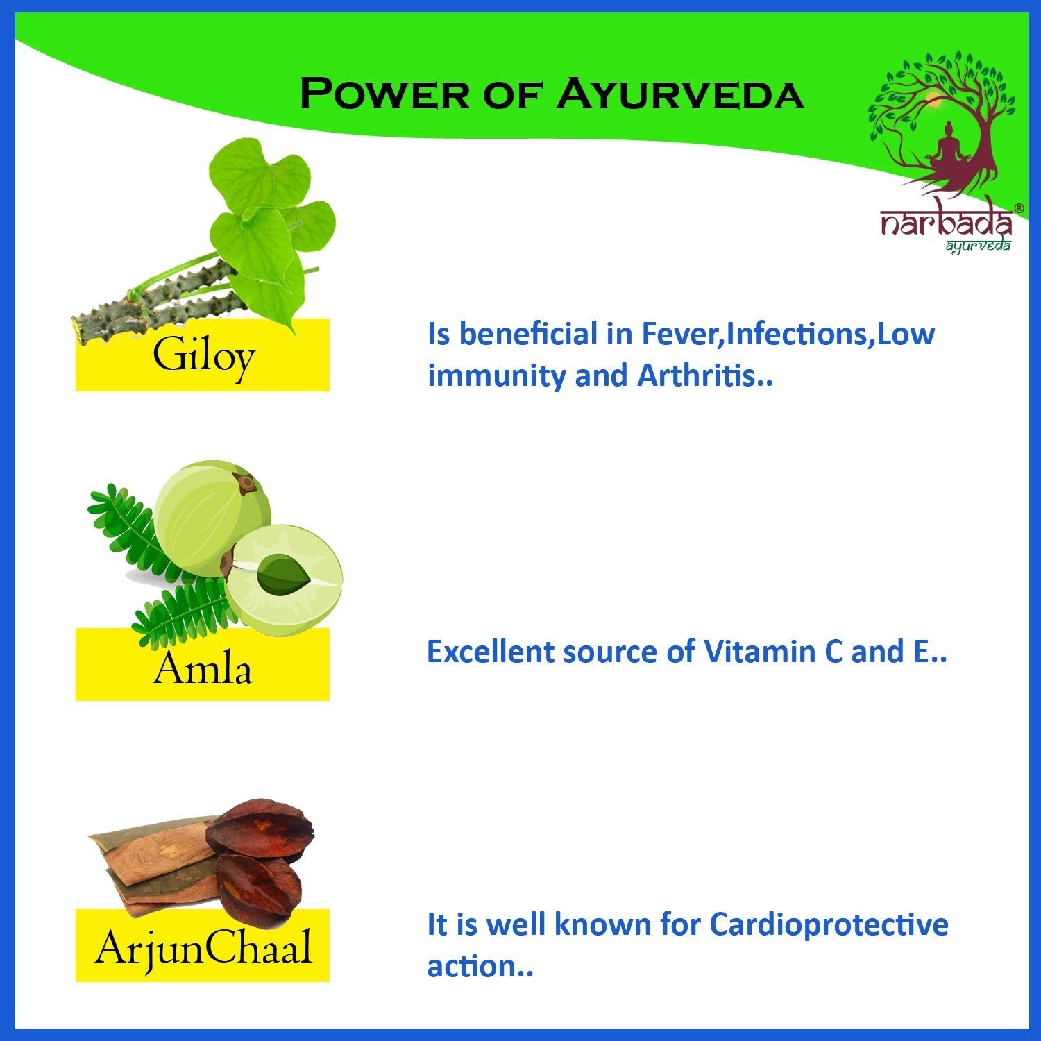 Narbada Ayurveda Fortifit Immunity - 100 gms – AyushKart