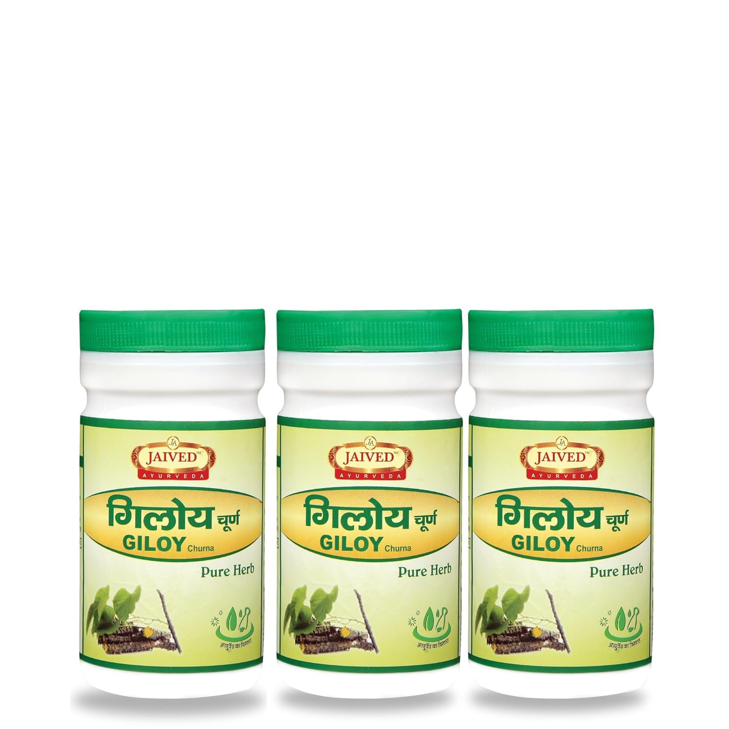 Jaived Ayurveda Giloy Churna | Boosts Immunity, Detoxifies Body & Promotes Overall Wellness | 100 Gms | Pack of 3