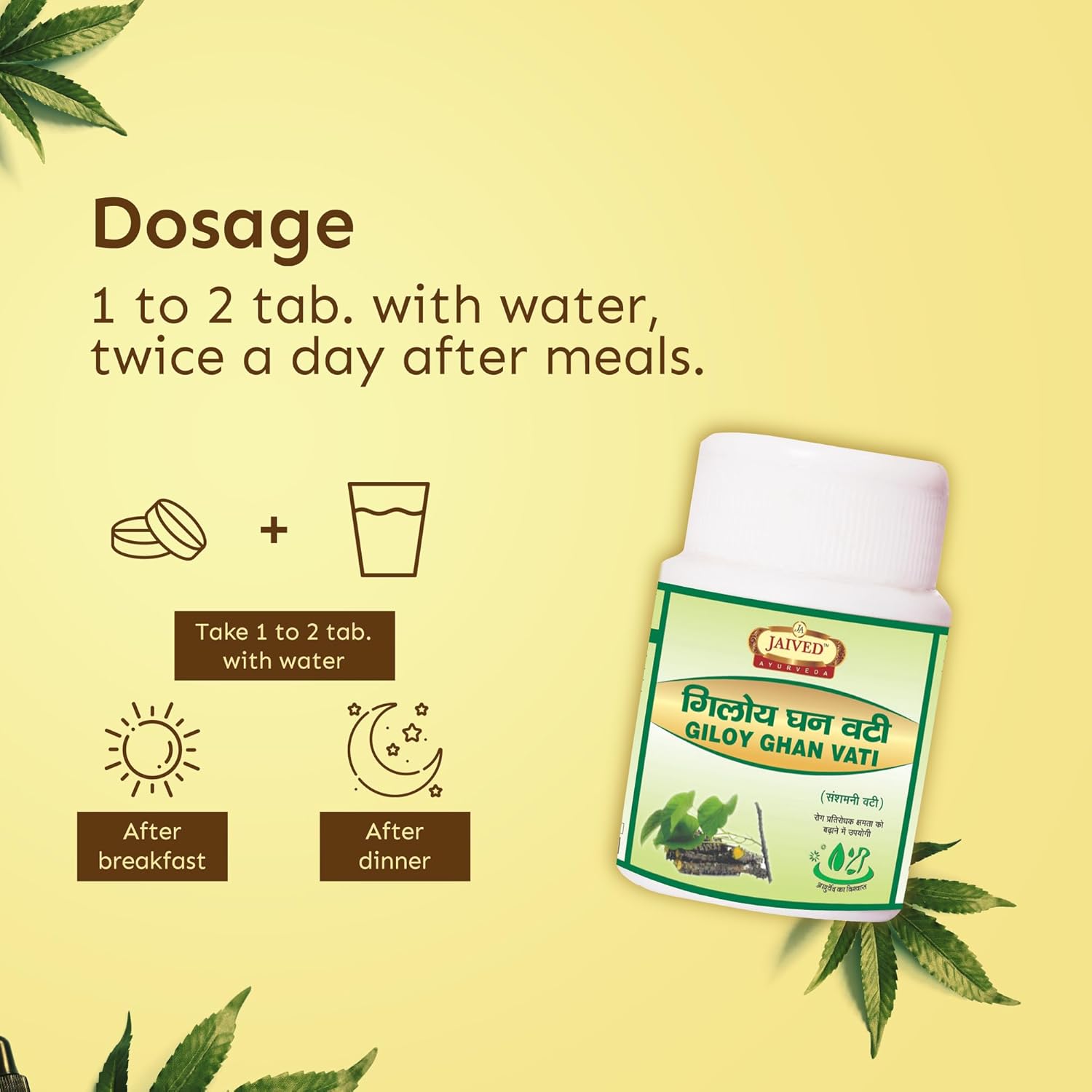 Jaived Ayurveda Giloy Ghan Vati | Boost Immunity, Detoxify, and Improve Digestion | 40 Tablets | Pack of 3
