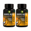 Fij Ayurveda Shilajit/shilajeet Gold Capsule Pack of 2 - 60 Caps