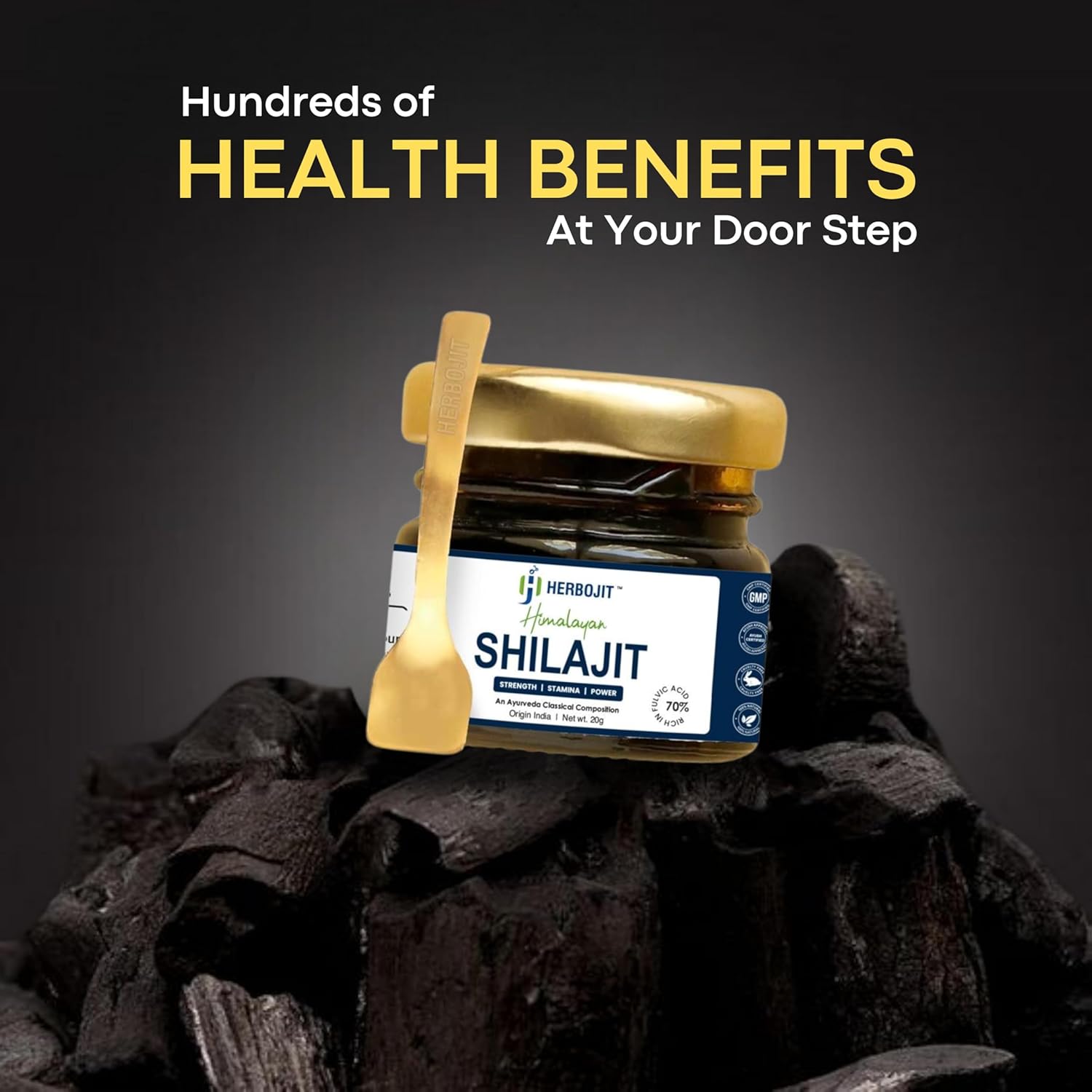Herbojit Himalayan Shilajit Resin - 20 Gms