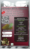 Sidhara Betta Herbals Emilia Sonchifolia (Purple Sow Thistle/Elikivi) Whole Plant Powder - 15 gms