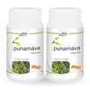 Jain Punarnava Capsules - 60 (Pack of 2)