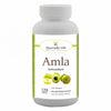 Ayurvedic Life Amla tablet – Amla for digestion – 120 tablet Pack of 2