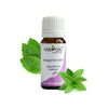 Meraki Essentials Bergamot Mint Essential Oil - 10 ml