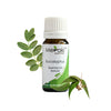 Meraki Essentials Eucalyptus Essential Oil - 10 ml