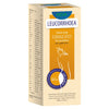 Keva Leucorrhoea Aid Syrup - 200 ml