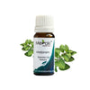 Meraki Essentials Marjoram Essential Oil - 10 ml