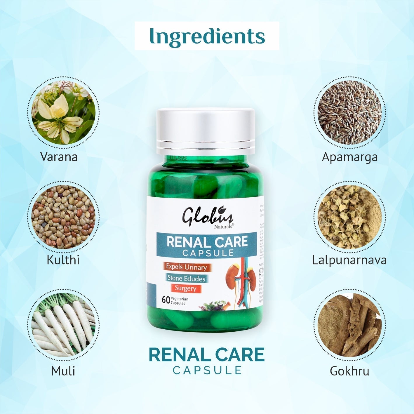 Globus Naturals Renal Care Ayurvedic Capsules for kidney Stone & Urina ...